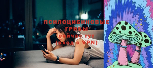 герыч Козловка